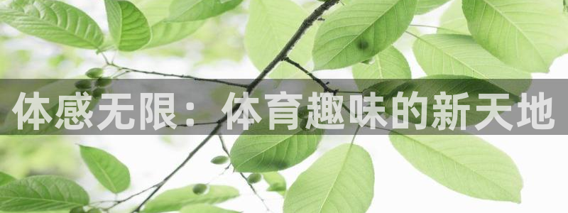 3377体育官网下载平台假的吗是真的吗吗:体感无限:体育趣味