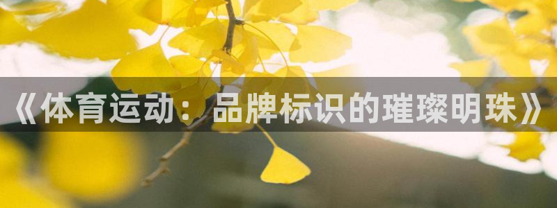 3377体育官网下载招商电话地址是多少:《体育运动:品牌标识