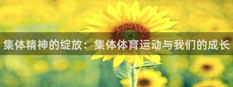 3377体育官方正版app五金厂:集体精神的绽放:集体体育运
